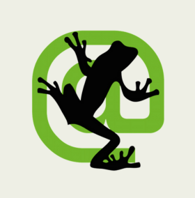 Screaming Frog SEO Services